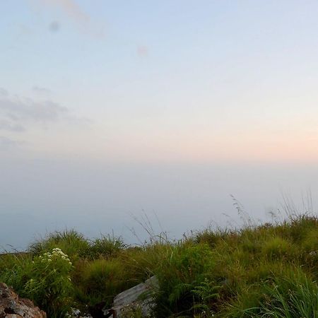 Olive Hill Top Hotel Haputale Luaran gambar