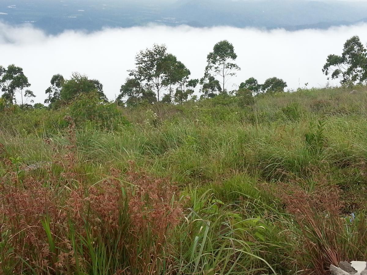 Olive Hill Top Hotel Haputale Luaran gambar