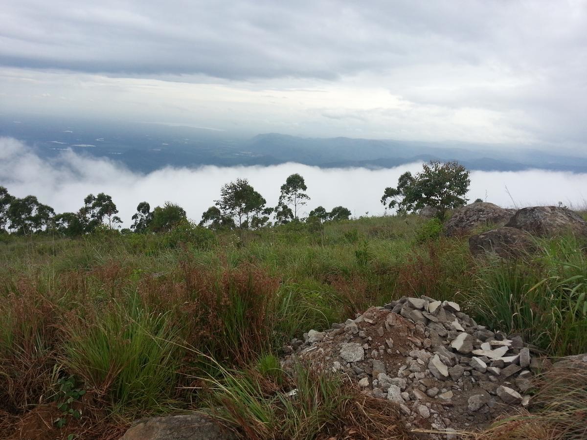 Olive Hill Top Hotel Haputale Luaran gambar